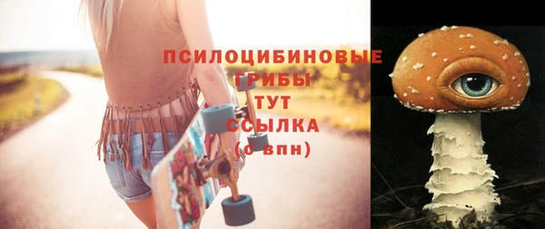 мдма Осинники