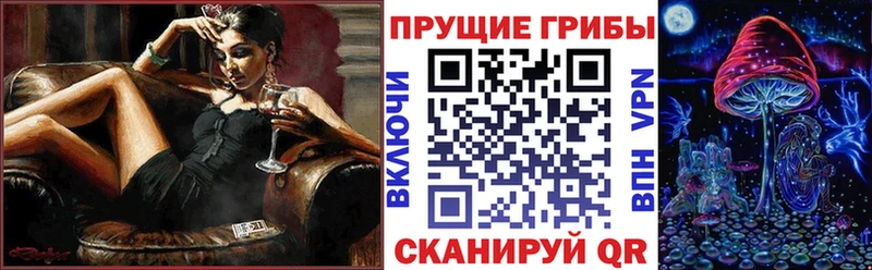 сайты даркнета телеграм Великий Устюг Псилоцибиновые грибы прущие грибы