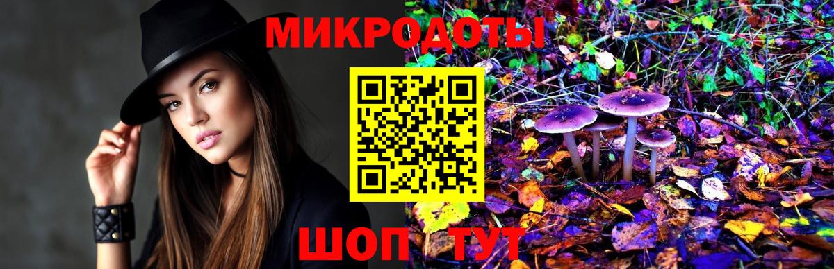 Псилоцибиновые грибы прущие грибы Великий Устюг