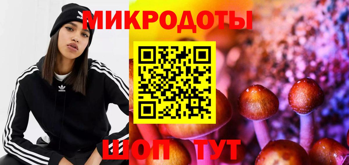 Великий Устюг  где купить наркоту  Галлюциногенные грибы ЛСД  Вход с VPN  Псилоцибиновые грибы Psilocybine cubensis 
