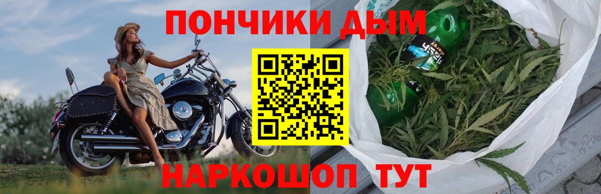 Шишки марихуана марихуана  Канабис конопля  Великий Устюг  Канабис Amnesia 